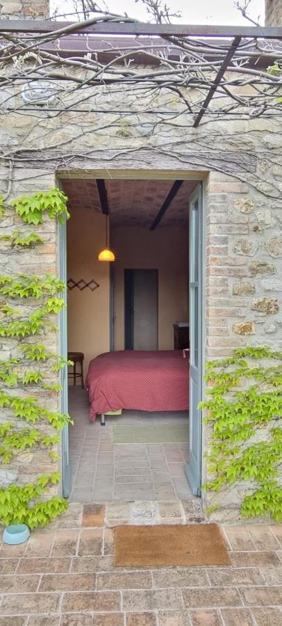 Bed and Breakfast Borgo Cardaneto Монтоне Екстер'єр фото