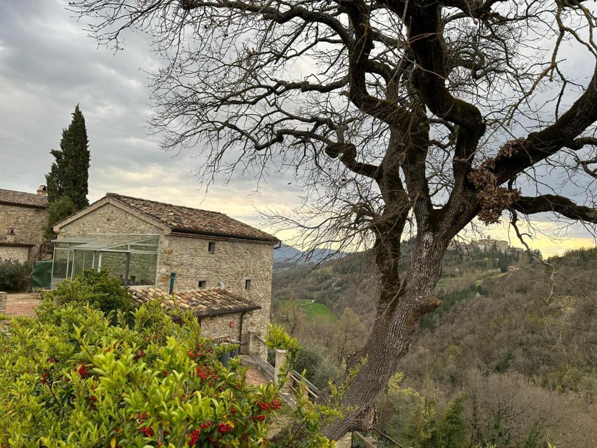 Bed and Breakfast Borgo Cardaneto Монтоне Екстер'єр фото