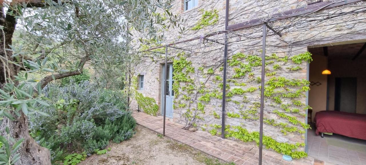 Bed and Breakfast Borgo Cardaneto Монтоне Екстер'єр фото