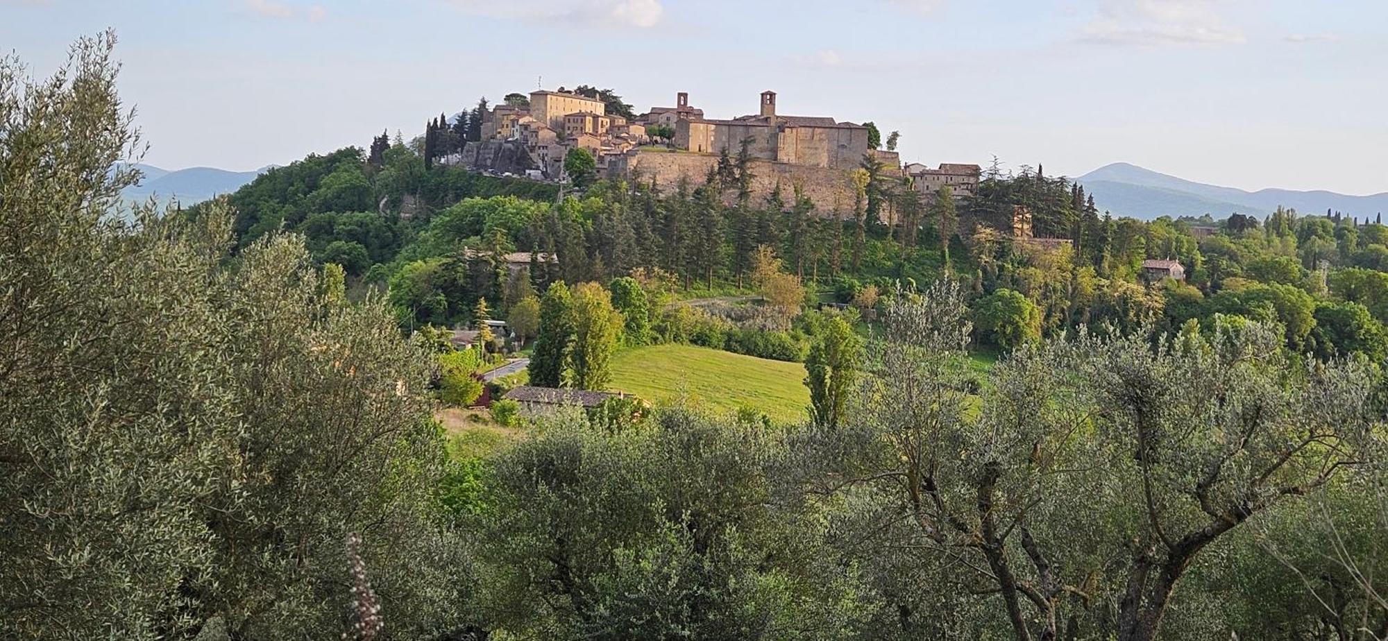 Bed and Breakfast Borgo Cardaneto Монтоне Екстер'єр фото